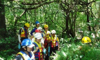  Hikers through the forest 